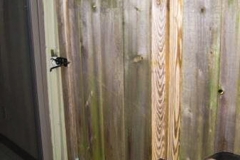Patio2