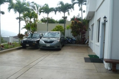 parkin_gP1020736_Small